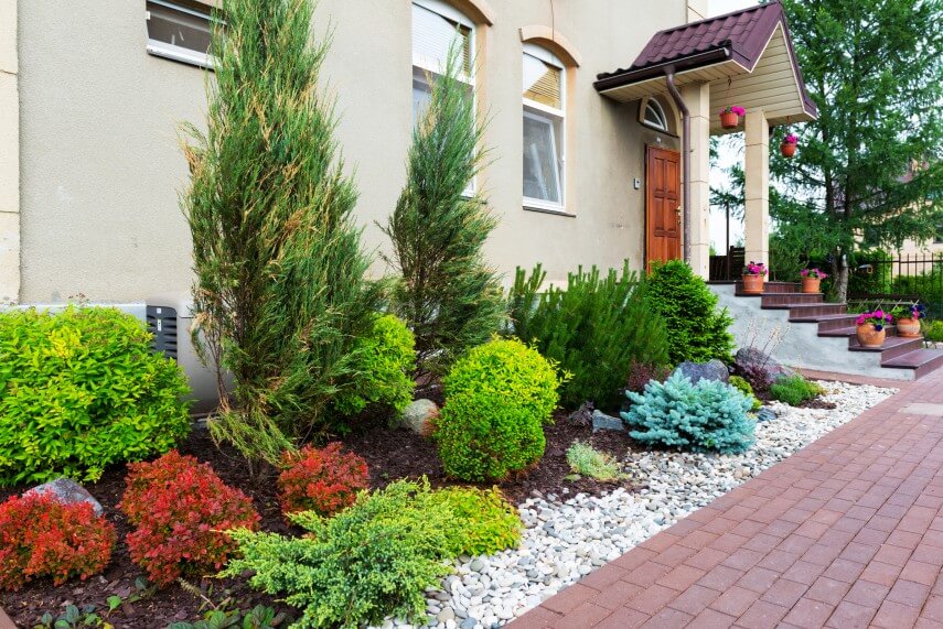 BloomingTale: 10 Ways To A Healthy Garden