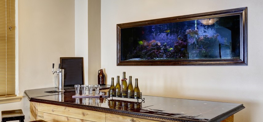 9 Tips To Help Maintain A Healthy Aquarium