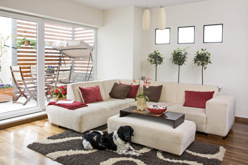 5 Ways To Add Colour To Your Rented House