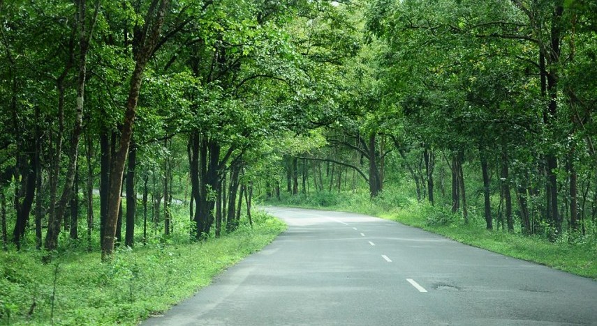 SC Slams Haryana For Allowing Construction Activity In Aravalli