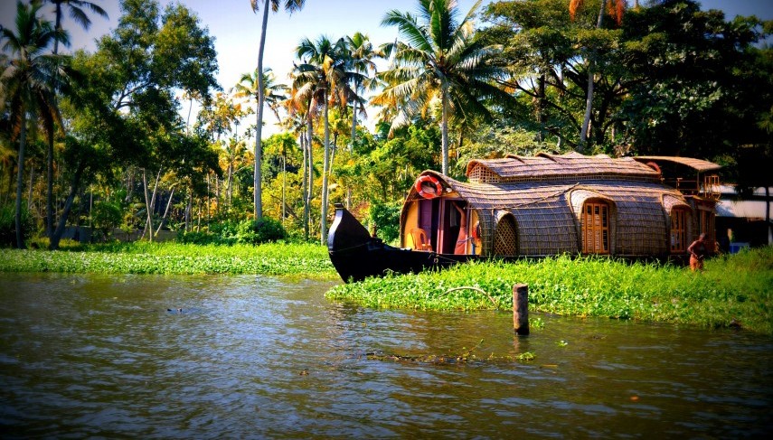 Rewind & Relax: 10 Reasons Why Kerala Is The Perfect Travel Destination