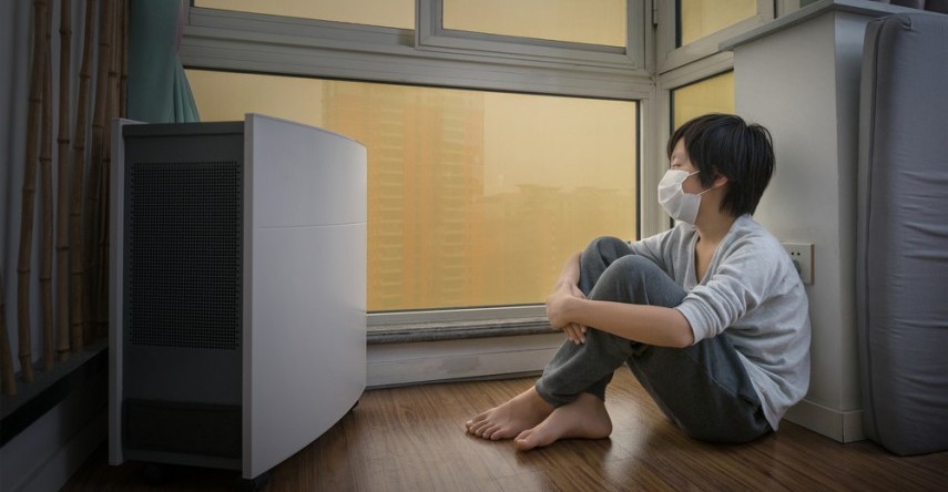 Want To Rent Air Purifiers? Here You Go